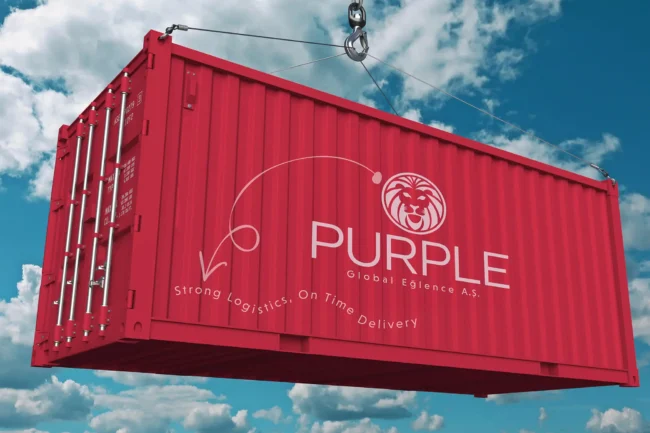 Purple Global Eğlence A.Ş.- İhracat geniş görseli